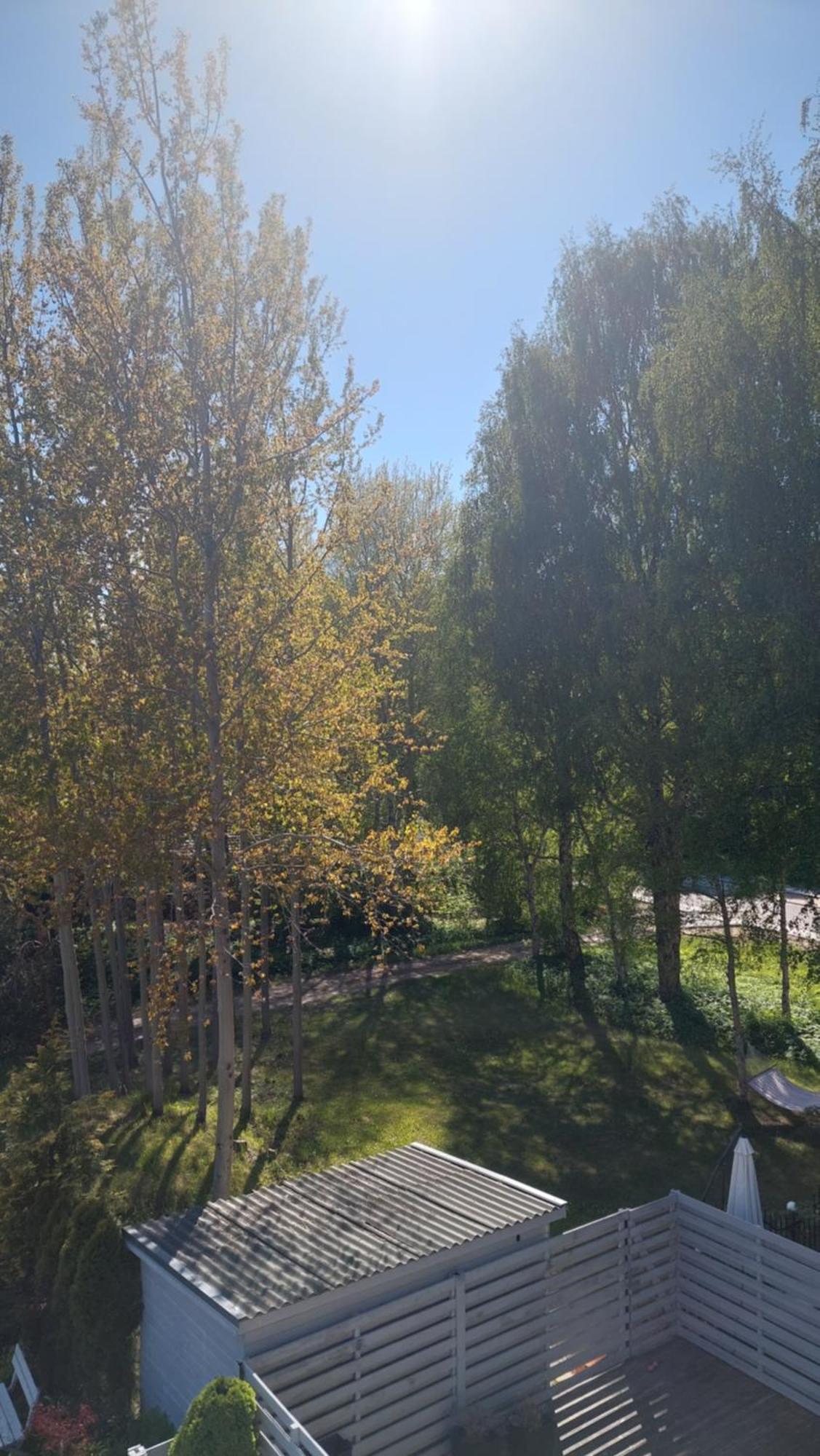 Hotel Pas Rasą Połąga Zewnętrze zdjęcie